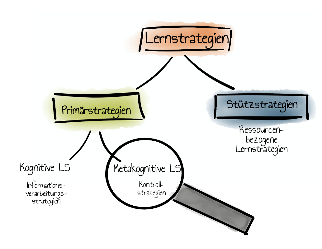 Taxonomie